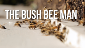 The Bush Bee Man